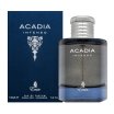 Emir Acadia Intenso woda perfumowana dla mężczyzn 100 ml