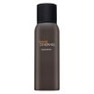 Hermès Terre D'Hermes Deospray para hombre 150 ml