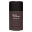 Hermes Terre D'Hermes deostick bărbați 75 ml