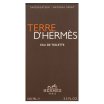 Hermes Terre D'Hermes Eau de Toilette bărbați 100 ml