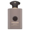 Amouage Opus V Woods Symphony parfumirana voda unisex 100 ml