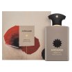 Amouage Library Collection Opus XII Rose Incense parfemska voda unisex 100 ml