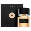 Tiziana Terenzi Casanova čisti parfum unisex 100 ml