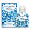 Dolce & Gabbana Light Blue Summer Vibes Pour Homme toaletná voda pre mužov 75 ml