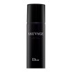 Dior (Christian Dior) Sauvage deospray da uomo 150 ml