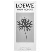 Loewe Pour Homme Toaletna voda za moške 50 ml