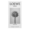 Loewe Solo Mercurio parfémovaná voda pre mužov 100 ml