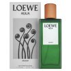 Loewe Agua Miami woda toaletowa dla kobiet 75 ml