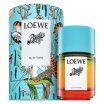 Loewe Paula's Ibiza тоалетна вода унисекс 100 ml