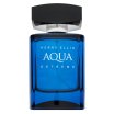 Perry Ellis Aqua Extreme toaletní voda pro muže 100 ml