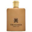 Trussardi Amber Oud parfémovaná voda pro muže 100 ml