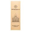 Montale Rendez-Vous à Milan parfumirana voda unisex 100 ml