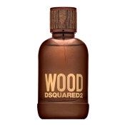 Dsquared2 Wood toaletná voda pre mužov 100 ml
