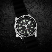 Citizen Promaster
