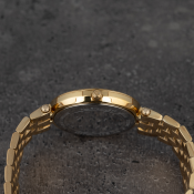 Michael Kors Mini Darci