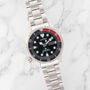 Citizen Promaster