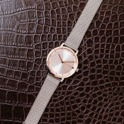 Tommy Hilfiger Pippa