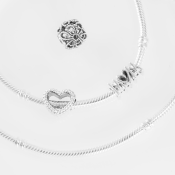 Korálek Pandora Moments