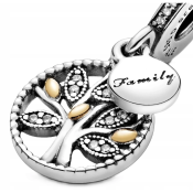 Přívěšek Pandora Moments