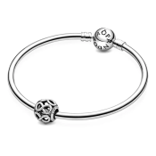 Korálik Pandora Moments