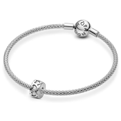 Клипс Pandora Moments