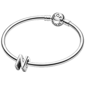 Korálek Pandora Moments