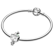 Korálik Pandora Moments