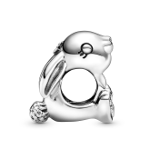 Korálik Pandora Moments