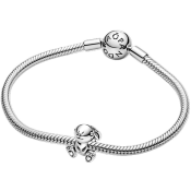 Korálik Pandora Moments