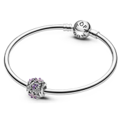 Korálik Pandora Moments