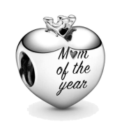 Charms Pandora Moments