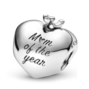 Charms Pandora Moments