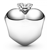 Charms Pandora Moments