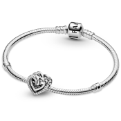 Korálik Pandora Moments