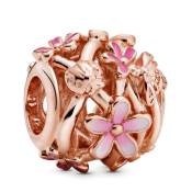 Korálik Pandora Moments