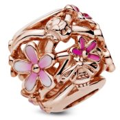 Korálik Pandora Moments