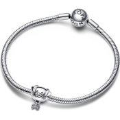 Korálek Pandora Moments