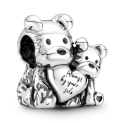 Charm Pandora Moments