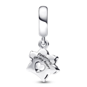 Obesek Pandora Moments