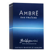Baldessarini Ambré Eau Fraiche toaletní voda pro muže 90 ml