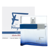 Salvatore Ferragamo F by Ferragamo Free Time toaletná voda pre mužov 100 ml