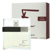 Salvatore Ferragamo F by Ferragamo Pour Homme toaletná voda pre mužov 100 ml