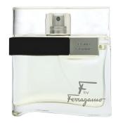 Salvatore Ferragamo F by Ferragamo Pour Homme toaletná voda pre mužov 50 ml