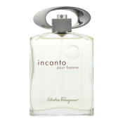 Salvatore Ferragamo Incanto Pour Homme toaletná voda pre mužov 100 ml
