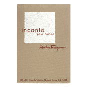 Salvatore Ferragamo Incanto Pour Homme toaletná voda pre mužov 100 ml