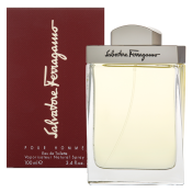 Salvatore Ferragamo Pour Homme toaletná voda pre mužov 100 ml