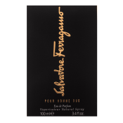Salvatore Ferragamo Pour Homme Oud parfémovaná voda pre mužov 100 ml