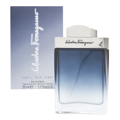 Salvatore Ferragamo Subtil Pour Homme toaletná voda pre mužov 50 ml