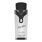 Armaf Magnificent Pour Homme parfumirana voda za moške 100 ml