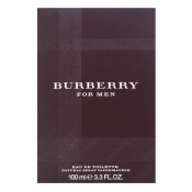 Burberry For Men toaletná voda pre mužov 100 ml